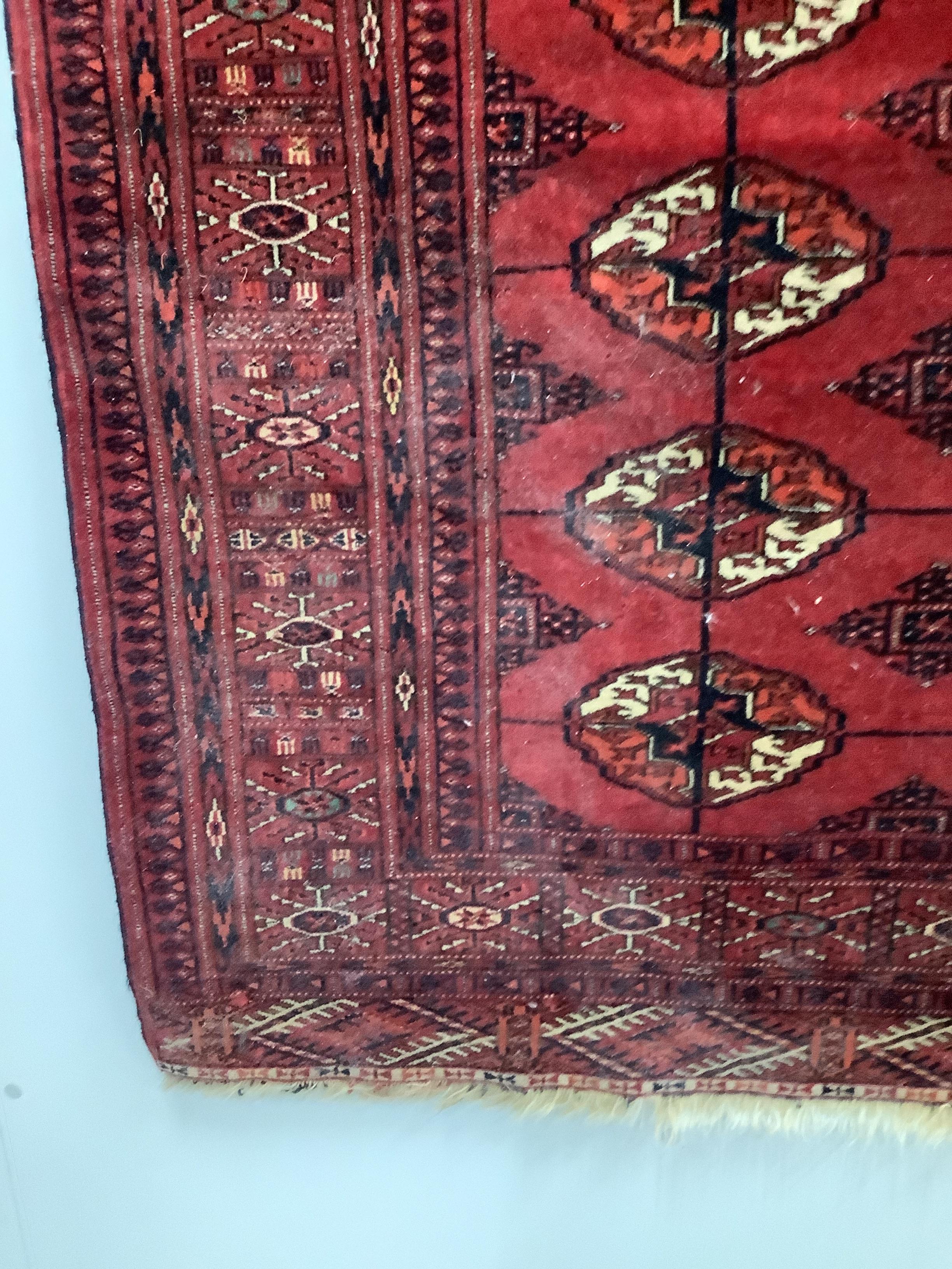 A Bokhara red ground rug, 183 x 145cm